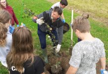 Oroslavski volonteri u akciji: Sadili voćke i čistili okoliš