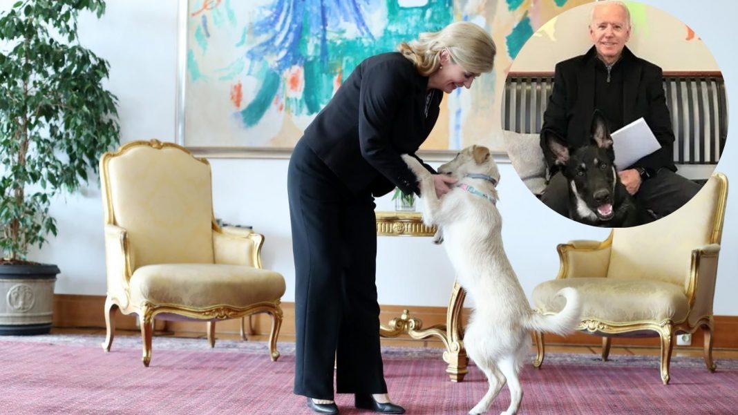 Photo: Sanjin Strukić/PIXSELL/Twitter