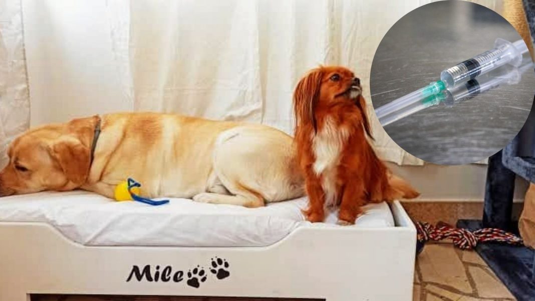 Foto: Privatni album