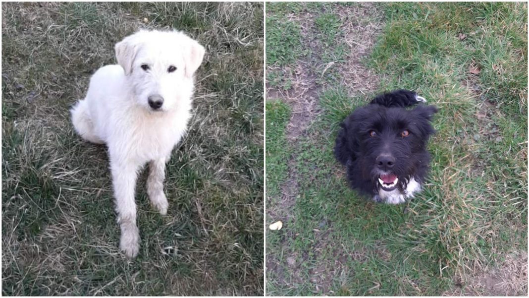 Foto: Privatni album