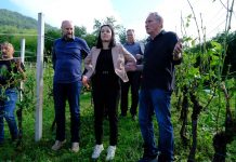 Tuča uništila sve, ceste, vinograde, voćnjake. Šteta 100 postotna