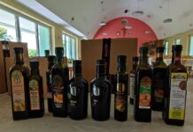 Bučina ulja s izložbe Alpe-Adria donirana Caritasu