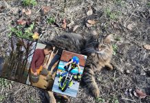 Riki 48 sati bio na drvetu, spasio ga Dejan iz Supertalenta