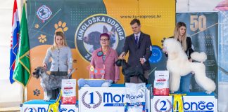 Na izložbu pasa u Zaprešić stižu psi i suci iz 18 zemalja