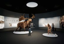 Ovako će izgledati novi dom voćanskog neandertalca
