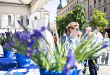 Dan plavog irisa: Doznajte sve o raku debelog crijeva