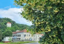 Ljeto u Krapini počinje 5. lipnja