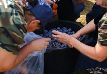 Vidimo se na 5. Zagorskoj pekmezijadi