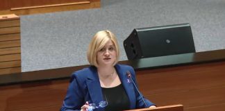 Curiš Krok: ‘Umjesto dostupnosti logopeda, državu brine visina stropa kabineta’